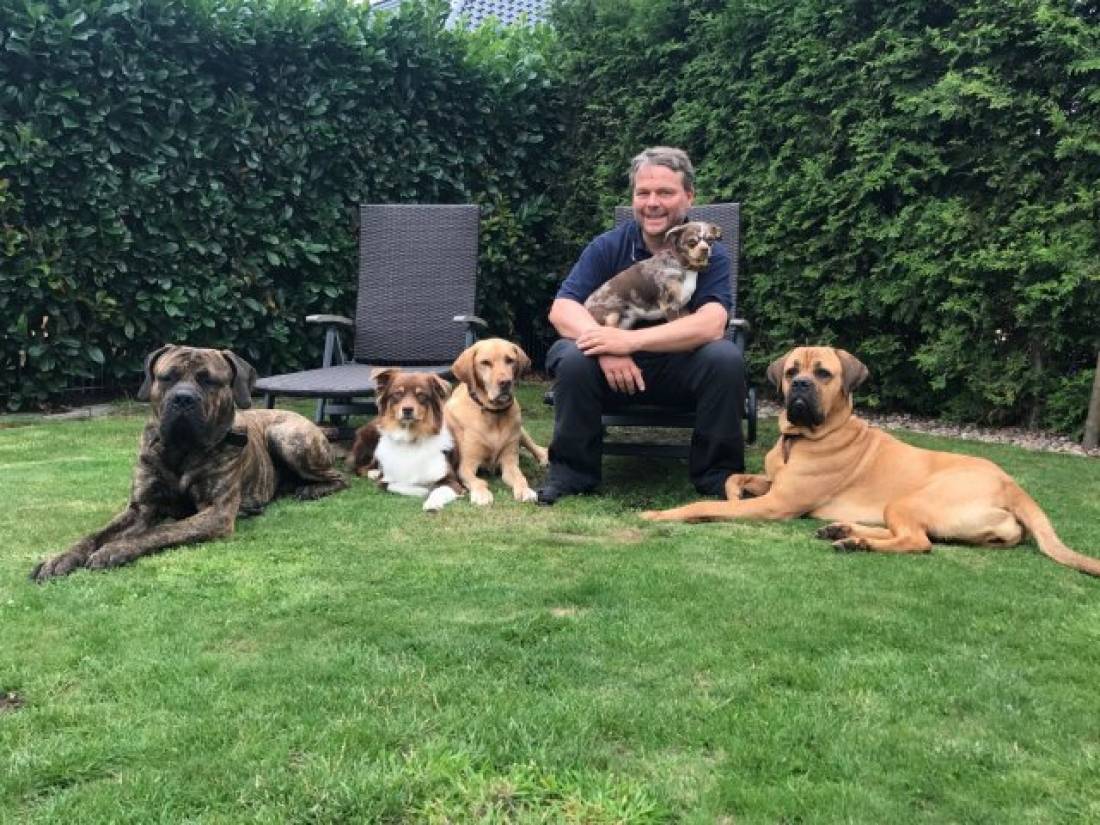 Hundeverhalten in der Gruppe beobachten und einschätzen.