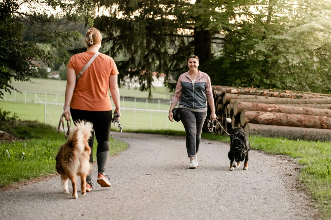 Hundebegegnungsstunde